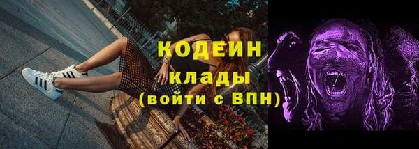 СК Куйбышев