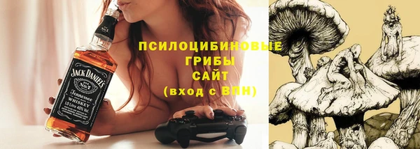 СК Куйбышев