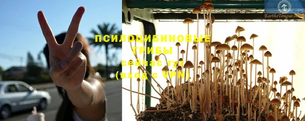 ешки Кукмор