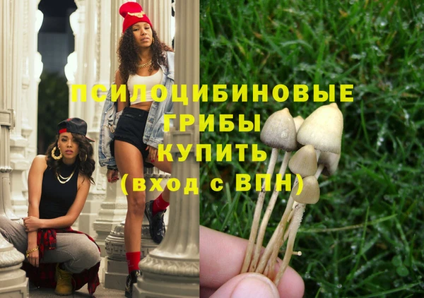 2c-b Лабытнанги