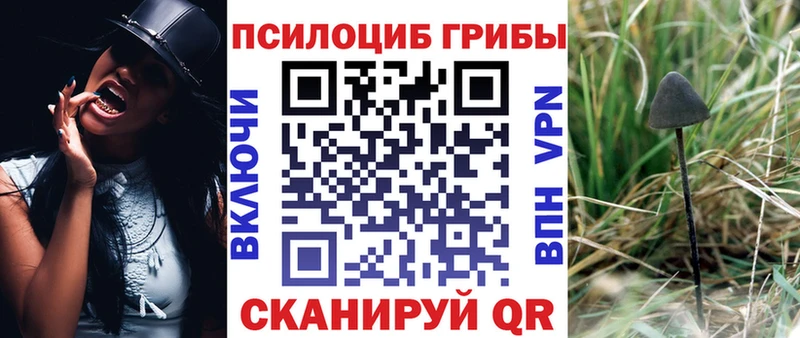сколько стоит shop наркотические препараты Галлюциногенные грибы Psilocybe Вуктыл